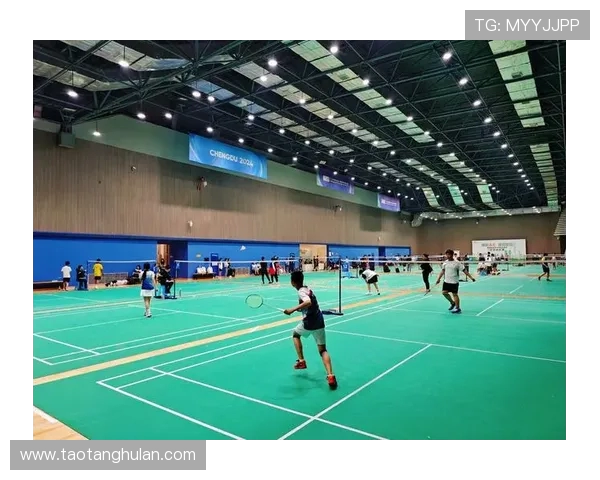 成都羽毛球队在锦标赛中的意识表现分析与评估